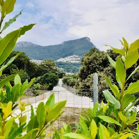 Da Annamaria Bed & Breakfast