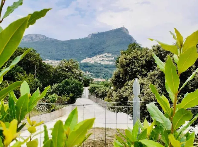 Da Annamaria Bed & Breakfast